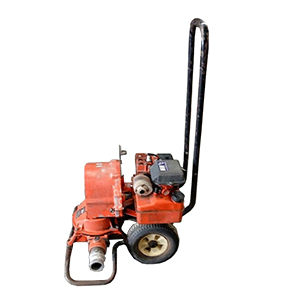 Homelite 111DP22-(UT-01496-A) Parts